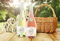 Perfekte Picknick-Partner: Die neuen Must-haves für das Dinner im Grünen