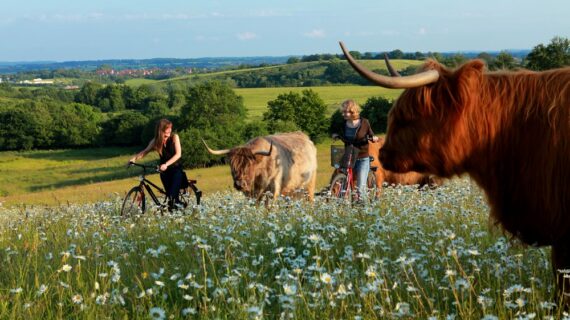 Einmalig in Deutschland: Ganz Schleswig-Holstein feiert das Naturgenussfestival!
