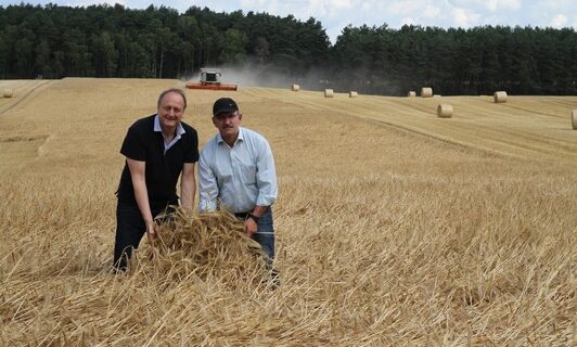 Getreideernte 2016 hat begonnen – Deutsche Bauern erwarten durchschnittliche Erträge – Brandenburg: Starkregen reduziert Ertrag (FOTO)