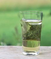 Genuss-Trend Cold Brew – Japanischer Mizudashi Gyokuro Tee schmeckt kalt am besten