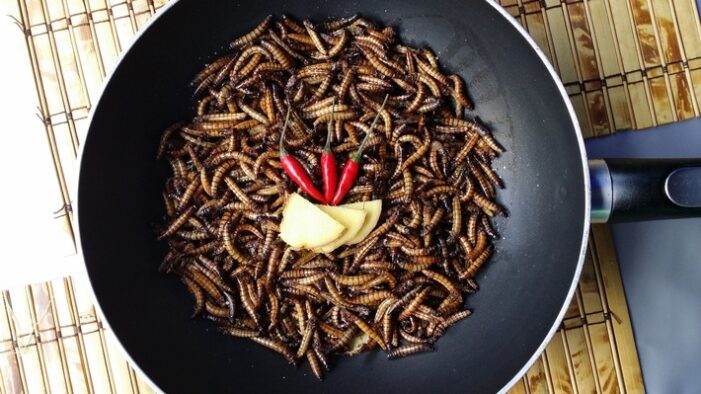 Insekten-Gerichte im Restaurant: Exotischer Genuss oder kulinarischer Alptraum? (FOTO)