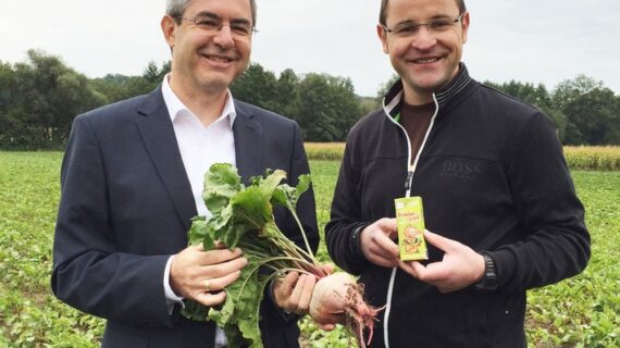 Rote Bete schützt vor Karies (FOTO)