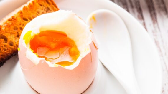Heute ist Welt-Ei-Tag: Für 69 Prozent der Deutschen kein Sonntagsfrühstück ohne Ei (FOTO)