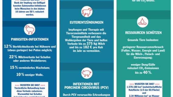 Ohne Tierarzneimittel kein Tier- und Verbraucherschutz / Europäische Umfrage zur Rolle von Tierarzneimitteln (FOTO)