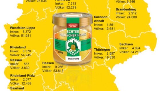 Von der Blüte auf den Tisch / D.I.B. zeigt Leistungsspektrum der deutschen Imkerei auf Grüner Woche (FOTO)