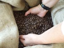 Single Origins Kaffeebohnen speziell geröstet für Kaffeevollautomaten | my-own-coffee