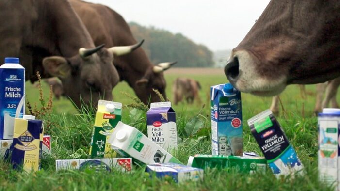 Glaubenskrieg um Milchprodukte