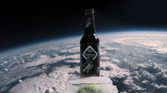 Neu und weltweit einmalig: Hachenburger Brauerei braut Space Pils mit Hopfen, der im Weltall war