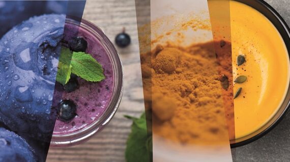 Sensient Flavors: Innovative Ansätze zur Geschmacksmodulation und zur Maskierung von Protein