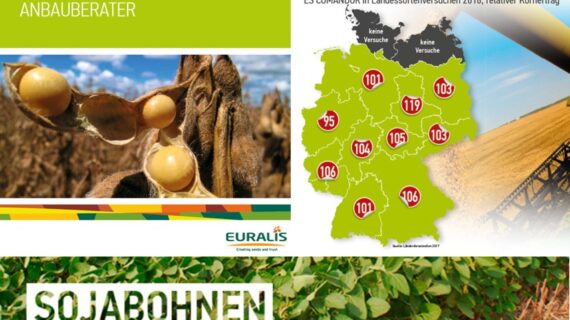 EURALIS: Sojabohnen – Erste Ergebnisse der Landessortenversuche 2017 veröffentlicht