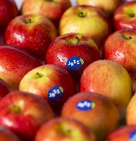 Extraportion Vitamine für alle Teilnehmer des Berliner Halbmarathons: JAZZ™ verteilt mehr als 30.000 Äpfel