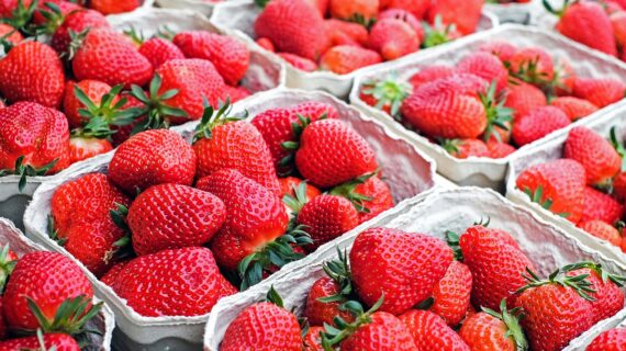So halten Erdbeeren länger frisch