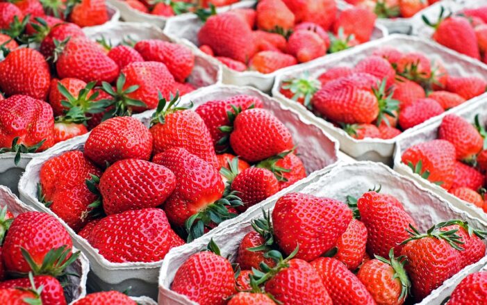 So halten Erdbeeren länger frisch