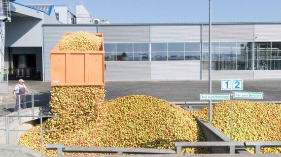 Keltereien produzieren Apfelsaft auf Hochtouren – alles wird verarbeitet (FOTO)