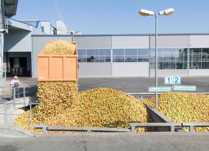 Keltereien produzieren Apfelsaft auf Hochtouren – alles wird verarbeitet (FOTO)