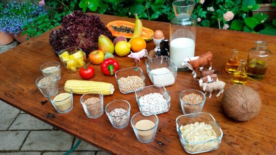 „wissen aktuell: Heilsame Ernährung“: 3sat-Dokumentation über gesundes Essen und Ernährungstrends (FOTO)