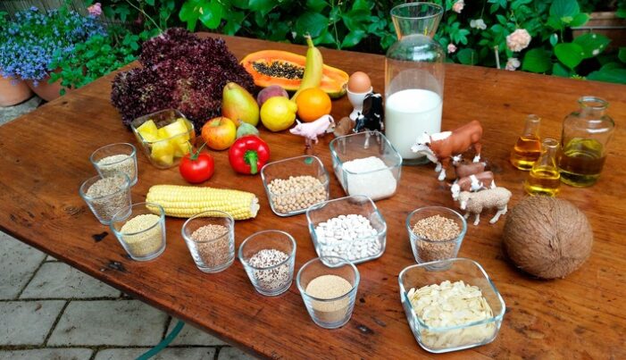 „wissen aktuell: Heilsame Ernährung“: 3sat-Dokumentation über gesundes Essen und Ernährungstrends (FOTO)