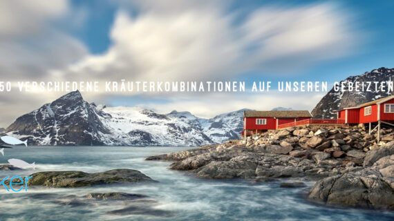 Kreativschmiede Hamburger Fischwerker expandiert