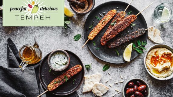 peaceful delicious – Tempeh Produzent im Süden von Berlin