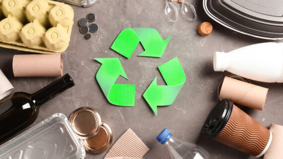 Moderne To Go Verpackungen inklusive Verpackungslizenzierung
