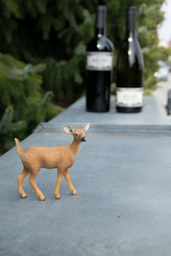WEiNDOTCOM Weinversand erneut erfolgreich auf der Jagd nach den besten Weinen: