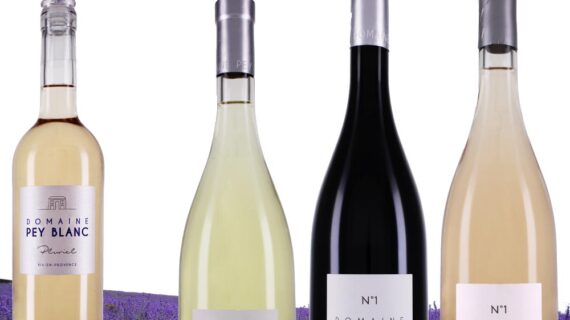 Domaine Pey Blanc Weine aus der Provence