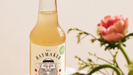 Moi-s Haymaker: die Limonade mit Apfelessig (FOTO)