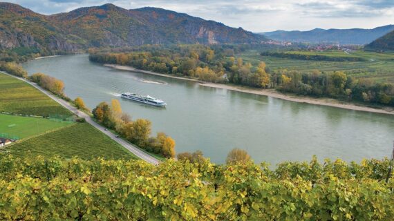 BEST OF Grüner Veltliner