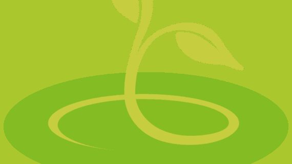 Nachhaltiges Pilotprojekt gestartet: Der grüne Teller von Rebional