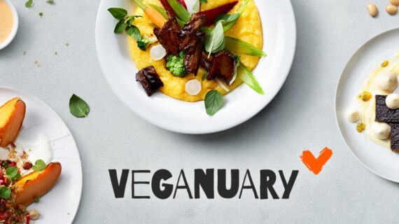 Vegan in den Januar: Unilever Food Solutions &  Langnese feiert Veganuary