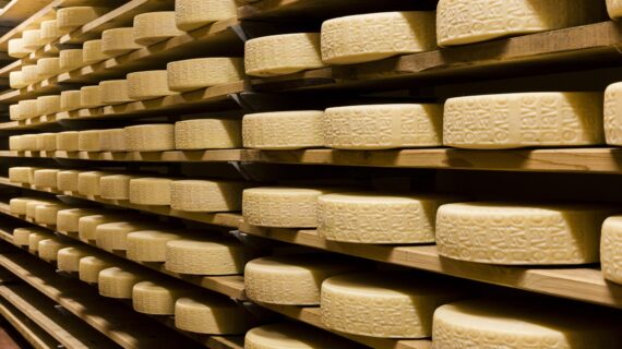 DER PIAVE DOP-KÄSE EROBERT DEN GROSSHANDEL DEUTSCHLANDS