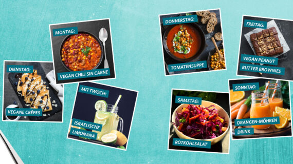 VEGAN VEGUT VEGÜNSTIG bei Combi und famila #Veganuary2022