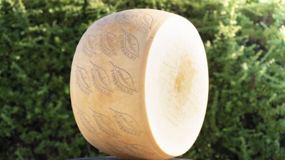 Vegetarische Alternative zu Parmesan kommt auf den Markt