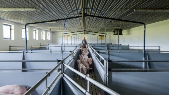 Bauernhöfe in Österreich: 3sat zeigt den Dokumentarfilm „Bauer unser“ (FOTO)