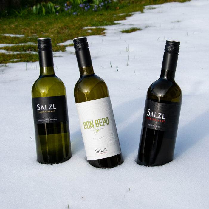 Kulinarischer Kurztrip zum Neusiedlersee: Weingut Salzl Seewinkelhof und WEiNDOTCOM laden zur online Weinprobe!