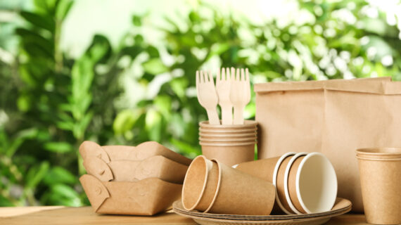 Pack4Food24 – Das B2B Bestellportal für Verpackungen und Gastronomiebedarf