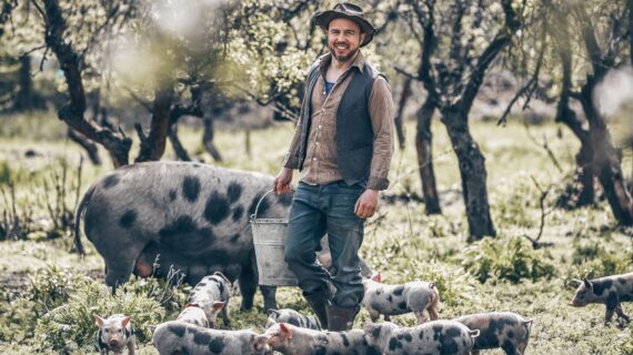 Özdemirs Tierlabel verbessert Schweinehaltung nicht