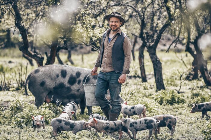 Özdemirs Tierlabel verbessert Schweinehaltung nicht Özdemirs Tierlabel verbessert Schweinehaltung nicht