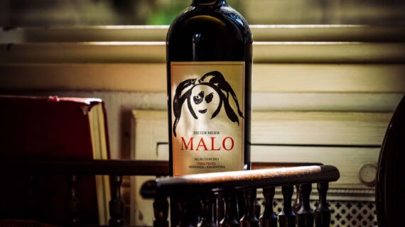 Dieter Meiers Grande Cuvée MALO aus Malbec, Petit Verdot und Syrah (Bildquelle: Copyright Ojo de Agu Avantgardist Dieter Meier präsentiert seinen neuen Biowein „MALO“