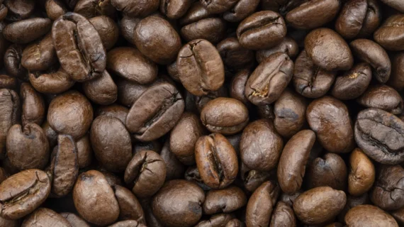 Heisse Domains für den Kaffee: Coffee-Domain und Cafe-Domain