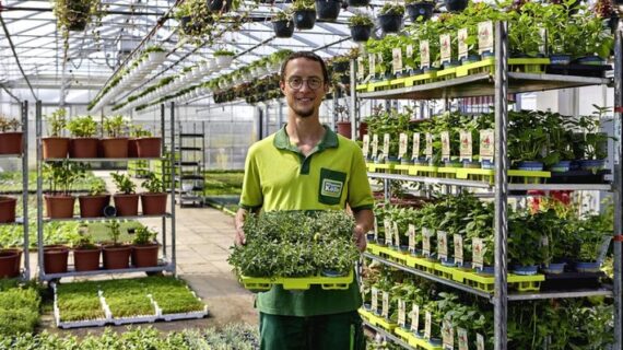 Gemüse, Kräuter und Obst aus dem eigenen Garten