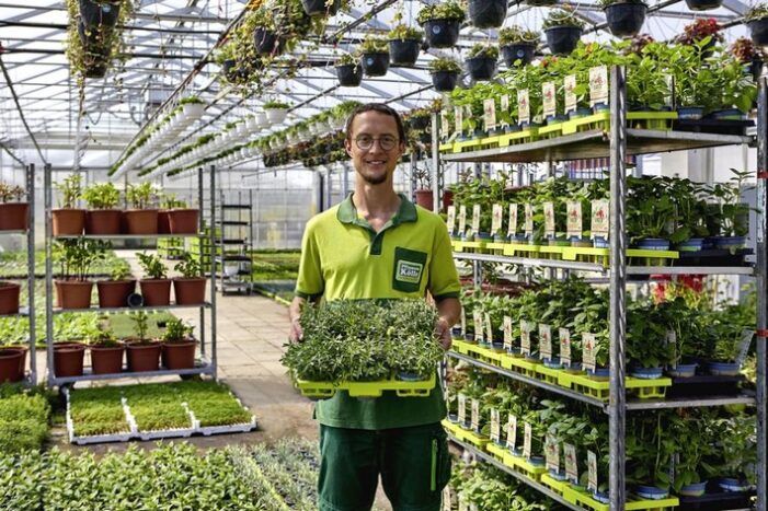 Gemüse, Kräuter und Obst aus dem eigenen Garten