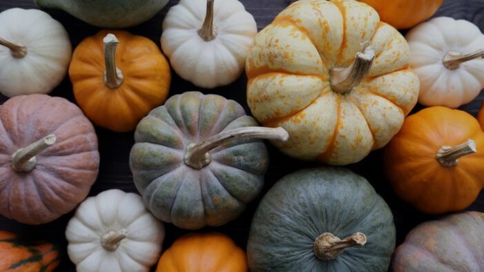 Die dunkle Jahreszeit versüßen: Ofenfrische Kürbisgerichte mit Beko AeroPerfect(TM)- und AirFry-Technologie