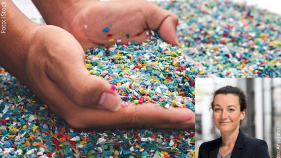 Mikroplastik im Fisch: Studie entwarnt – Risiko geringer als gedacht / Interview mit Ökotoxikologin Dr. Carolin Völker über neue Studienergebnisse Mikroplastik im Fisch: Studie entwarnt – Risiko geringer als gedacht / Interview mit Ökotoxikologin Dr. Carolin Völker über neue Studienergebnisse