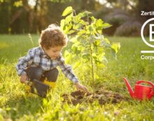Lebensmittelhersteller Danone in Deutschland, Österreich und der Schweiz erfolgreich B Corp rezertifiziert