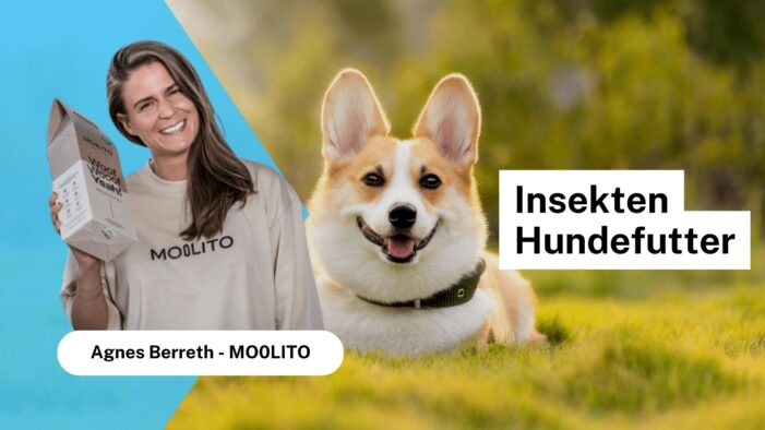 Moolito baut auf Insekten Hundefutter gegen Allergien