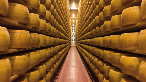 Käse: Wachsende Verkaufszahlen in Europa lassen den Export von italienischen Milchprodukten enorm in die Höhe schnellen
