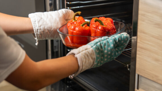 Wie Sarah Hein von Schlicht Vegan Nachhaltigkeit in die Küche bringt Wie Sarah Hein von Schlicht Vegan Nachhaltigkeit in die Küche bringt