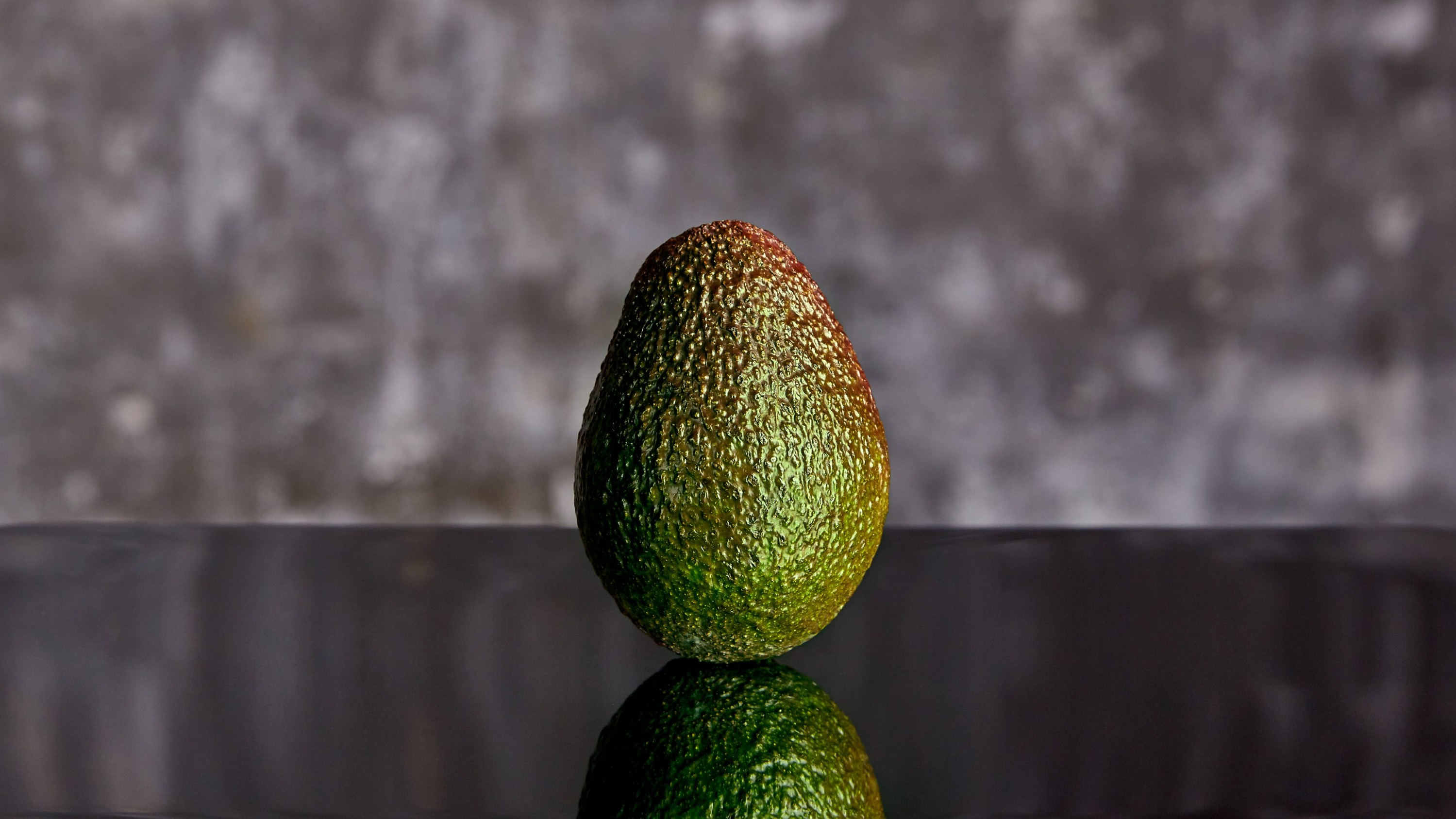 Zeit für Avocado-Weihnachten Zeit für Avocado-Weihnachten