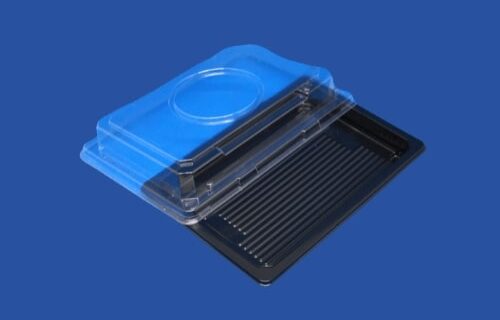 Sushiboxen für frische und stilvolle Präsentationen